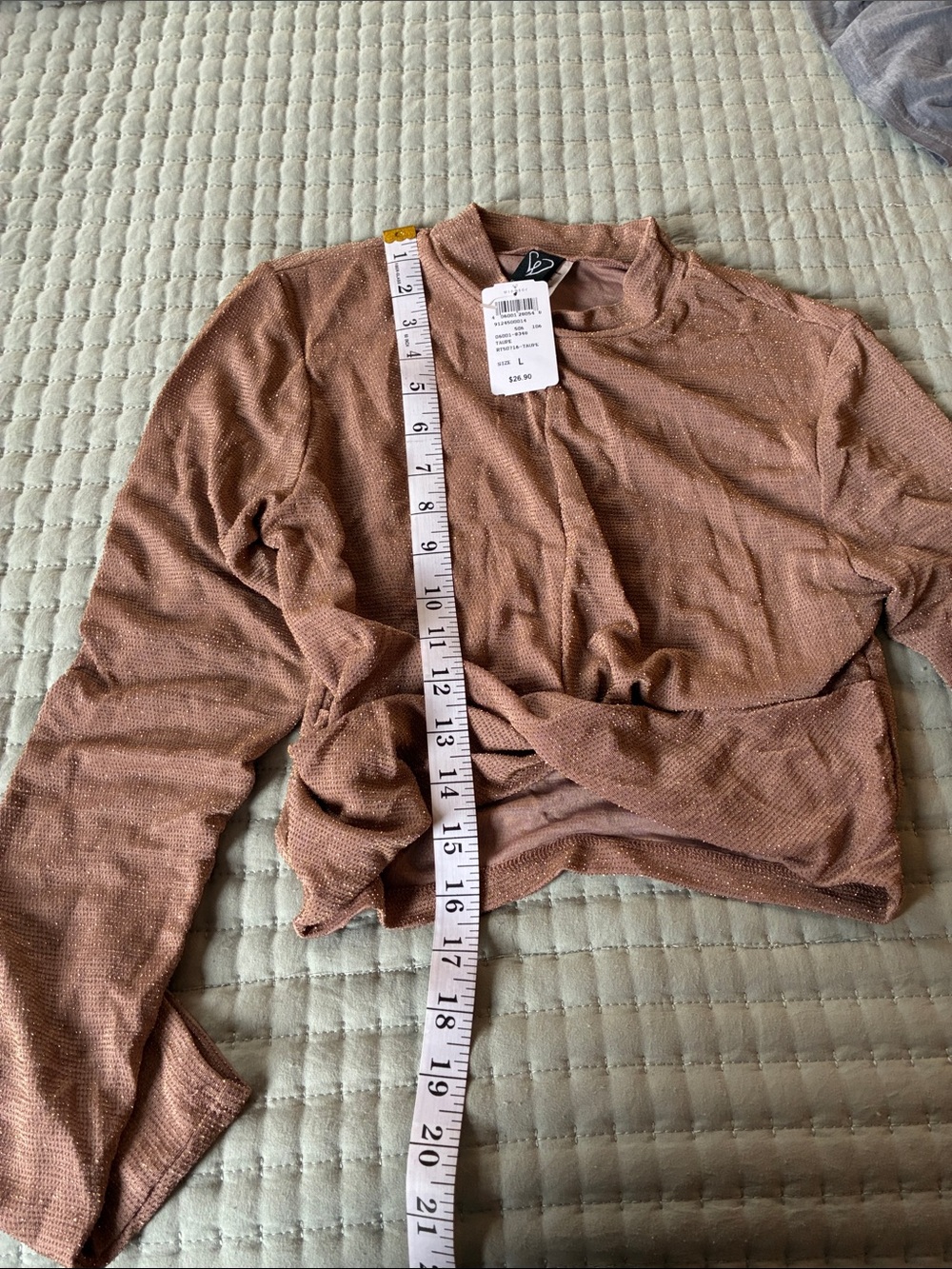 Cropped Long-Sleeve Mock Neck Top - Rust Windsor Brand n